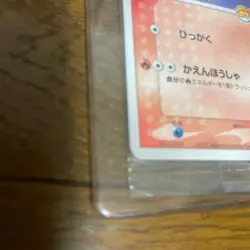 2005 Pokemon Card PokePark Forest Promo Torchic 002/009 - Premium File Rare Holo - Image 4