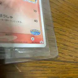 2005 Pokemon Card PokePark Forest Promo Torchic 002/009 - Premium File Rare Holo - Image 5