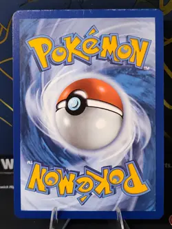 First Partner Illustration Squirtle Promo Full Art Holo 037 Pokemon TCG - Image 4