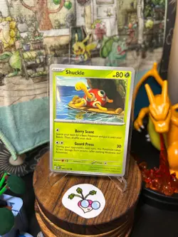 Pokemon TCG - Shuckle (Regular) - Obsidian Flames - 5/197 - Common - Image 1