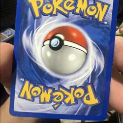 1st Edition Meganium 11/111 Neo Genesis Holo Lightly Played Pokemon Card - Image 2