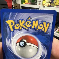 1st Edition Meganium 11/111 Neo Genesis Holo Lightly Played Pokemon Card - Image 4