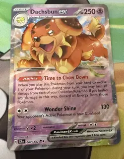 Dachsbun ex 067/142 Stellar Crown Double Rare Holo Pokemon Card - Image 1