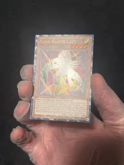 Yu-Gi-Oh! Toon Harpie Lady TOCH-EN002 (Collectors rare) - Image 2