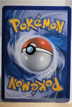 Mudkip XY38 Holo Promo XY Promo Pokemon Holo - Image 2
