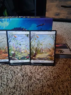 x4 Plains BLB Bloomburrow MTG 262 263 264 265 FULL ART BASIC LAND M/NM 4x - Image 4