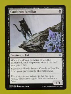 Cauldron Familiar x1 Throne of Eldraine 1x Magic the Gathering MTG - Image 1