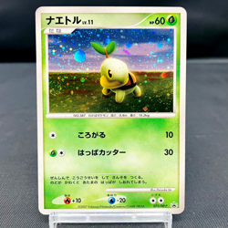 Swirl (MP) Turtwig 072/DP-P Beginners Classroom 2007 Japanese Pokemon Card - Image 1