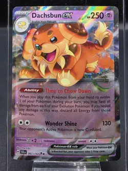 Dachsbun ex 67/142 Double Rare Stellar Crown Near Mint Pokemon TCG - Image 1