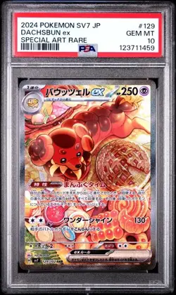 PSA 10 - Dachsbun ex 129/102 sv7 Stellar Miracle - Pokemon - Image 1