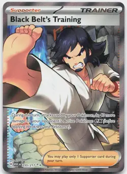 Black Belt's Training 255/217 Ultra Rare Ascended Heroes Pokemon Near Mint - Image 1