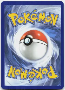 Black Belt's Training 255/217 Ultra Rare Ascended Heroes Pokemon Near Mint - Image 2