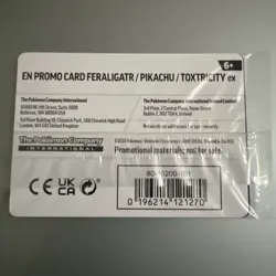 Pokemon TCG Illustration Contest 2024 Promo Cards - Sealed - Image 2