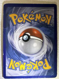 Lillipup BW52 Pokemon Promos Black Star Promo Holo 50HP EN 2011 - Image 2