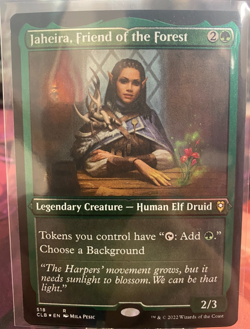 MTG, JAHEIRA, FRIEND OF THE FOREST (FOIL ETCHED) NM OR BETTER CONDITION - Image 1
