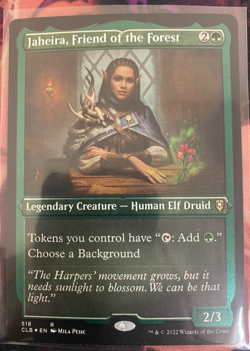 MTG, JAHEIRA, FRIEND OF THE FOREST (FOIL ETCHED) NM OR BETTER CONDITION - Image 2