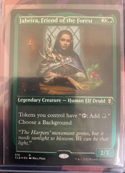 MTG, JAHEIRA, FRIEND OF THE FOREST (FOIL ETCHED) NM OR BETTER CONDITION - Image 4