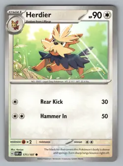 HERDIER- 171/197 -C OBSIDIAN FLAMES POKEMON NM OBF 2023 - Image 1