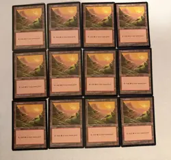 12x Mountain APAC Lands Red Pack Hudson Magic the Gathering - Image 1