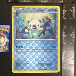 Pokemon Oshawatt 2011 JUMBO Promo Card Numberless Black Star - Image 2