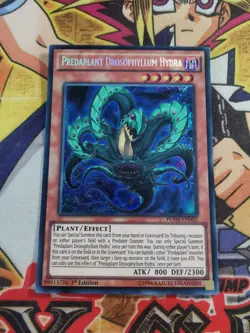 Predaplant Drosophyllum fuen-en002 1st Edition (NM/VLP) Secret Rare Yu-Gi-Oh! - Image 1