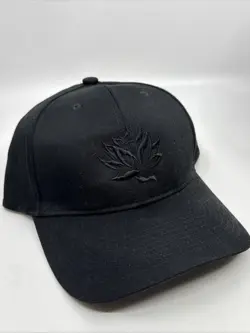Magic MTG MagicCon Las Vegas 2025 Black Lotus VIP Hat - New - Image 1