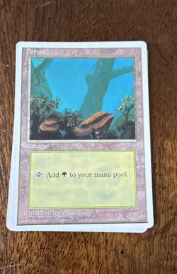 Forest (A) MTG Core Set 4th Edition Regular Magic The Gathering MTG M/HP - Image 2