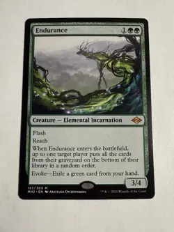 Endurance - Modern Horizons 2 (MH2) - Image 1