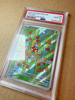 Pokemon Shuckle 136/132 Me01: Mega Evolution Holo - Image 2