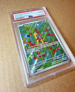 Pokemon Shuckle 136/132 Me01: Mega Evolution Holo - Image 3