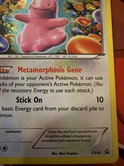Ditto XY40 XY Black Star Promos Holo Pokemon Trading Card TCG - Image 3