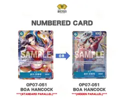 One Piece Card Game - 2nd Anniversary Set (Simplified Chinese) - New & Sealed - Image 2