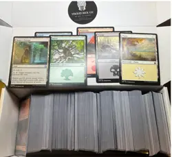 500 MTG Basic Lands Lot - 100 of Each Color - 100 Bonus RANDOM LANDS - 600 TOTAL - Image 2