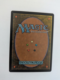 Piracy Portal MTG NM Free shipping with tracking - Image 2