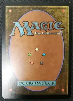 MTG *Flagstones Of Trokair X1* (MP) Time Spiral Magic the Gathering - Image 2