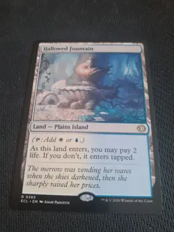Hallowed Fountain MTG [Lorwyn Eclipsed] Near Mint - Image 1
