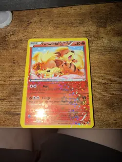 Pokemon NM-M Growlithe RC4/RC25 Radiant Collection 2013 Reverse Holo - Image 1