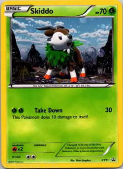 Skiddo XY11 Holo Promo XY Promo Pokemon Holo NM - Image 1