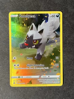 Poochyena GG33/GG70 Holo Rare Crown Zenith Pokemon TCG NM - Image 1