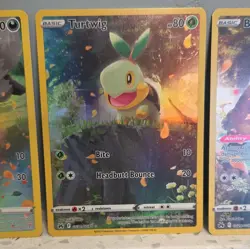 Pokemon TCG Crown Zenith Galarian Gallery Holo Lot 3 Poochyena Turtwig Bidoof - Image 3