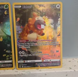 Pokemon TCG Crown Zenith Galarian Gallery Holo Lot 3 Poochyena Turtwig Bidoof - Image 4