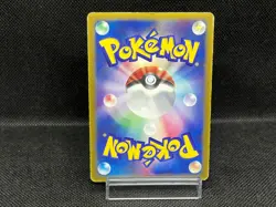 (MP) Brock’s Mudkip 038/ADV-P Shogakukan Promo Japanese Pokemon Card - Image 3