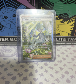Wally's Compassion 186/132 Special Illustration Rare Pokemon Mega Evolution NM - Image 2