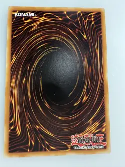 Toon Rollback - DLCS-EN075 - Common - 1st Edition - Near Mint - YuGiOh - Image 2
