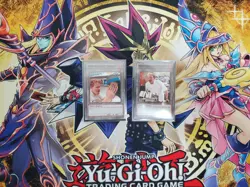 YuGiOh Nouvelles Deck; complete with Dragon Shield sleeves, a deck box + extras - Image 5