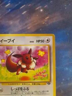 Eevee Jungle No.133 Pokemon Card Japanese Jungle - Image 4