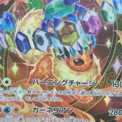 Flareon EX 202/187 Terastal Festival Pokemon TCG Japanese Near Mint Full Art SAR - Image 2