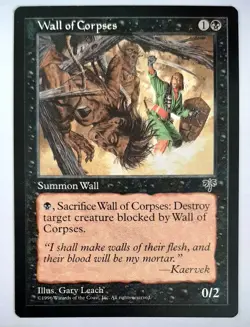 ►WALL OF CORPSES ►MIRAGE 1996 ►BLACK ►NM ►MAGIC ►SCHWARZ TRUGBILDER MTG - Image 1