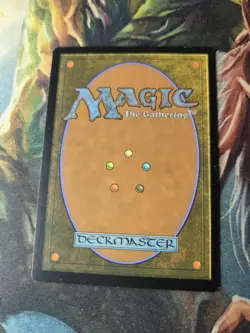 MTG Hallowed Fountain - Ravnica Allegiance NM/Reg English - Image 3