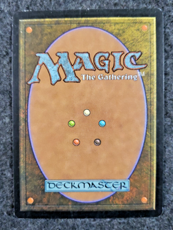 Blessed Wind ~ Magic the gathering Prophecy MTG VLP Card....(DS3D1K8) - Image 2